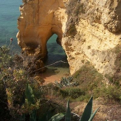 非凡体育APP下载下载手机版